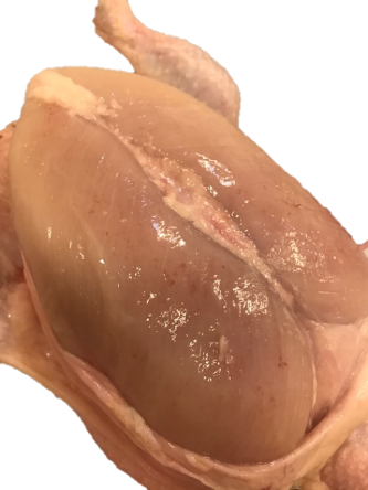 Slaktkropp utan skinn som visar bröstfilé med utbredd wooden breast